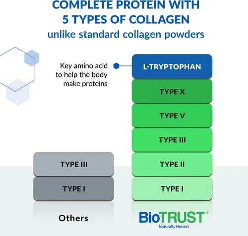 Vista 2 de BioTrust Ageless Multi Colágeno 5 en 1 Proteína en Polvo (Fruit Punch) BlenderBottle Bundle