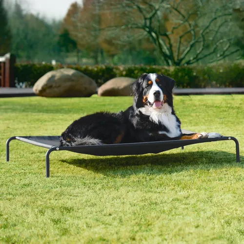Vista 8 de EHEYCIGA Cama Cot Elevada XXL para Perros, Hamaca Elevada para Exteriores para Perros Gigantes Jumbo, Plataforma Elevada para Mascotas con Marco