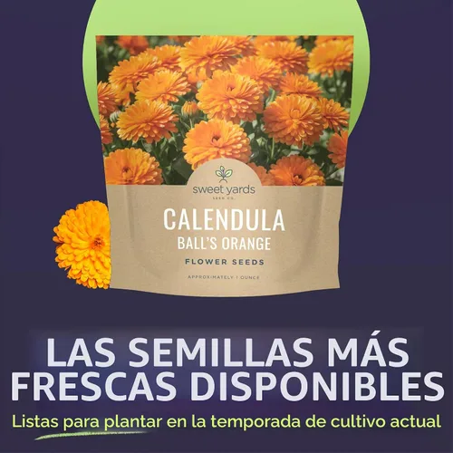 Vista 2 de Bolas de caléndula naranja - Paquete grande de 1 onza - 3,500 semillas de flores para plantar - Calendula officinalis