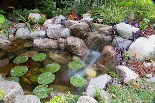 Vista 3 de Aquascape Kit de estanque de patio trasero de bricolaje de 8 x 11 pies - Ecosistema completo de jardín de agua con bomba, desnatador y filtro, 99765