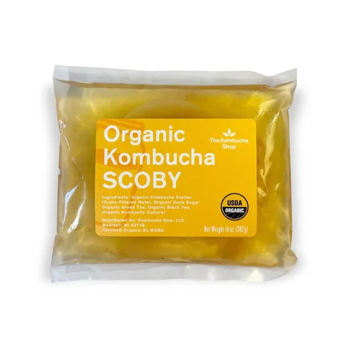 Vista 2 de SCOBY Kombucha Starter Kit 100% orgánico - 100% garantizado para preparar - Cultura fresca y viva con líquido de iniciación - The Kombucha Shop