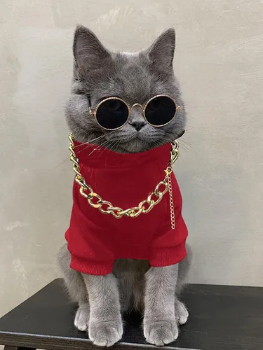 Vista 2 de QWINEE Conjunto de 3 piezas con capucha para perros y gatos, con collar y lentes de sol, ropa para mascotas para cachorros, perros pequeños y Rojo