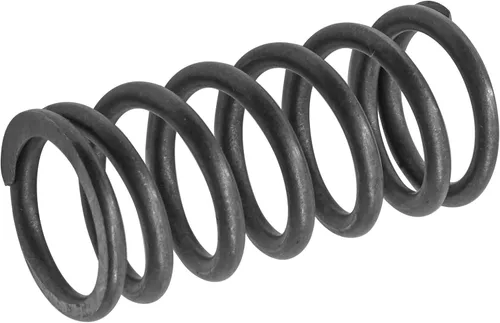Vista 6 de Caltric Muelle de embrague compatible con Kawasaki Versys-X 300 2017-2023 92145-1750 921451750