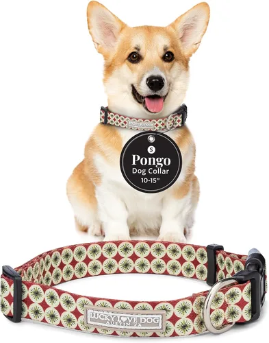 Vista 38 de Lucky Love Dog - Collar de perro ajustable con hebilla de fácil clic para los pequeños, duradero y cómodo para perros machos y hembras, collar