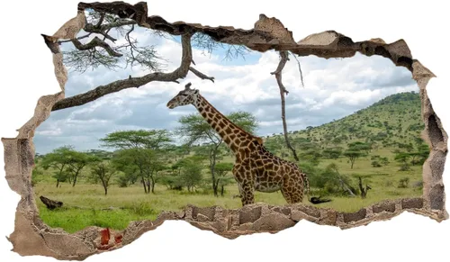 Vista 8 de Calcomanías 3D de decoración de pared de animales 3D, calcomanías de pared de ranas 3D destrozadas, arte moderno de vinilo de pared para niños
