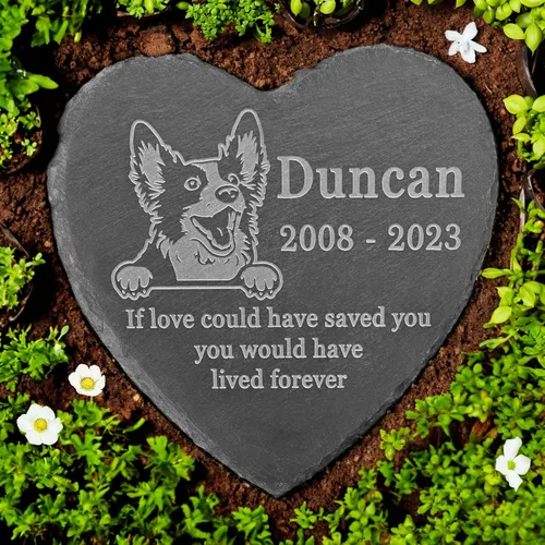 Vista 32 de Memorial personalizado de American Staffordshire Terrier, lápida de American Staffordshire Terrier, condolencias por pérdida de American