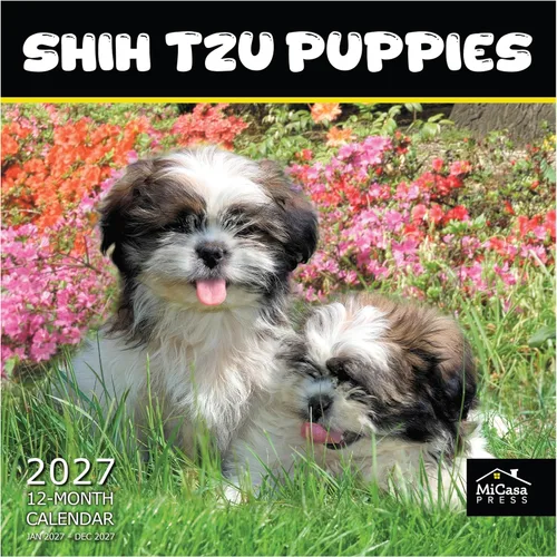 Vista 107 de MICASA PRESS Calendario de pared de Australian Shepherds Aussies 2027 02 - Pastores australianos