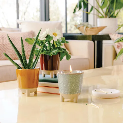 Vista 5 de Modern Sprout Kit Glow and Grow – Vela perfumada 2 en 1 que se convierte en una planta de albahaca – Vela de soja de 12 onzas con 78 horas de tiempo