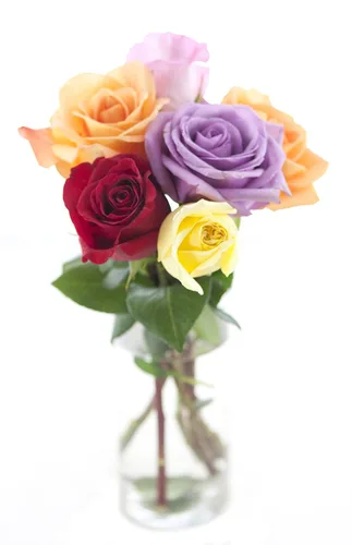 Vista 66 de KaBloom - Rosas arcoíris (media docena)- Flores frescas para cumpleaños, San Valentín y Día de la Madre