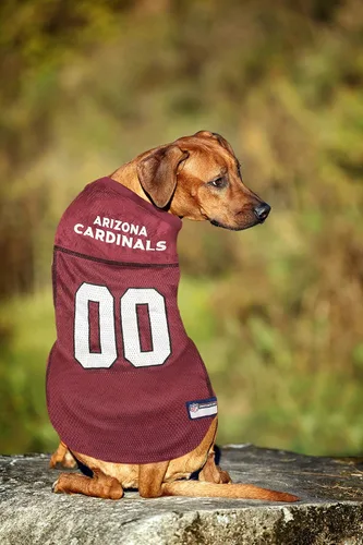 Vista 8 de Camiseta de los Arizona Cardinals de la NFL para Perro - Talla X-Small, Disfraz de Jersey de Fútbol para Perros y Gatos