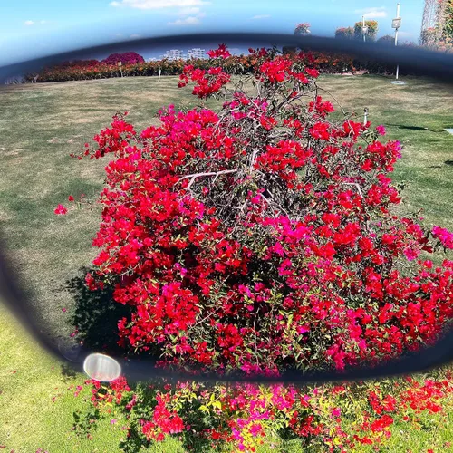Vista 4 de Bnus High contrast polarized sunglasses Enhancing Reds, Greens, and Blues great for fishing and golf