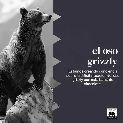 Vista 5 de Endangered Species Chocolate Bar Grizzly Frambuesa oscura, 3 oz