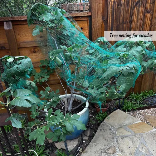 Vista 6 de Red para pájaros para jardín de 6.5 x 50 pies, malla de 1/4 de pulgada, protege arándanos, fresas, tomates, verduras. Red de árboles frutales
