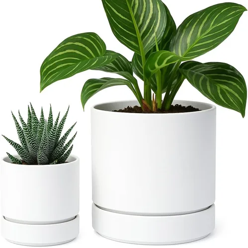 Vista 46 de Phoenix Vine 4 Inch Planter Pot with Drainage Hole & Saucer, Deep Water Catch Tray, Straight Cylindrical Round Pot for Plants, Olive, Pack of 1