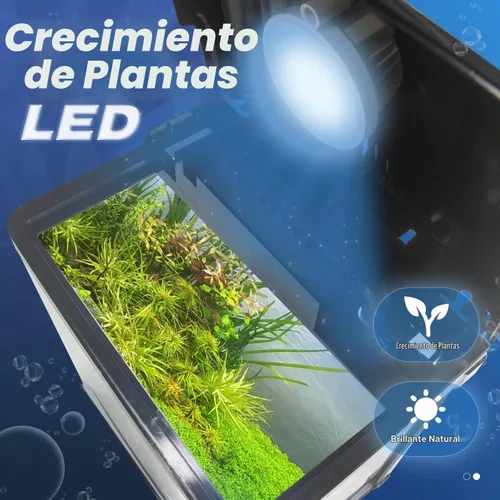 Vista 4 de Tanque de peces pequeño, acuario de vidrio de 2 galones, Betta Fish Shrimp Goldfish Tropical Fish Starter Kit de inicio de peces tropicales