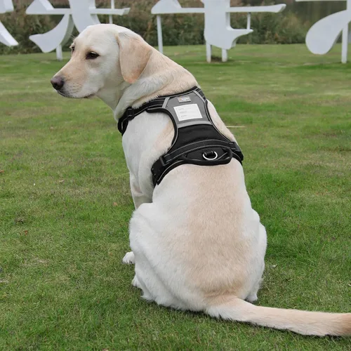 Vista 4 de Arnés para perro sin tirones con 2 anillos en D, ajustable, reflectante, suave, acolchado, chaleco Oxford y asa para perros pequeños, negro, S