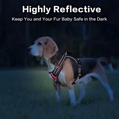 Vista 6 de PoyPet - Arnés para perro sin tirones, pechera reflectante con clip frontal, chaleco para mascotas sin estrangulamiento con asa vertical acolchada
