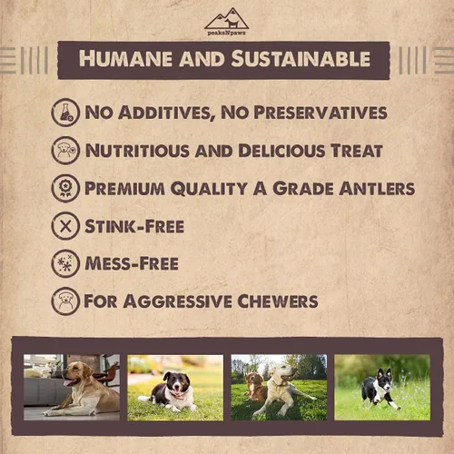 Vista 4 de peaksNpaws Cuernos de alce partidos de grado A totalmente naturales para perros, desprendidos naturalmente en las montañas rocosas, sin aditivos
