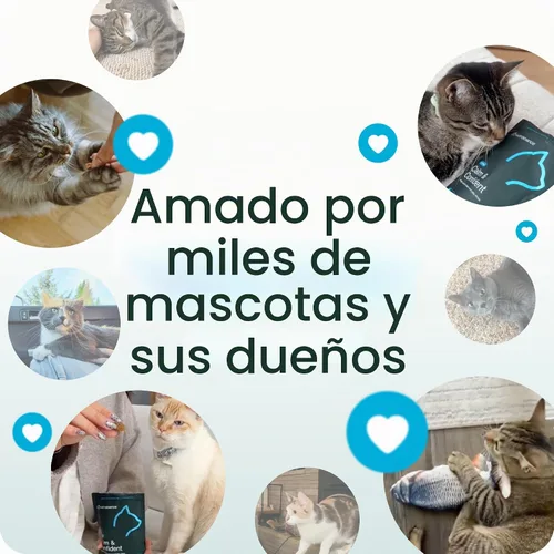 Vista 9 de VetriScience Composure, fórmula calmante para gatos, 30 masticables del tamaño de un bocado Masticables calmantes para gatos, apoya la relajación