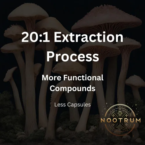 Vista 3 de Champiñones, suministro de cápsulas de 1 mes: contiene melena de león, cordyceps, reishi y más.