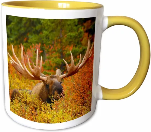 Vista 11 de 3dRose 142049_4 - Taza, 11 onzas, color negro