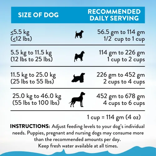 Vista 5 de Addiction Salmon Bleu - Alimento seco para perros sin granos, rico en prebióticos para apoyar la piel, el pelaje y la salud cognitiva, receta