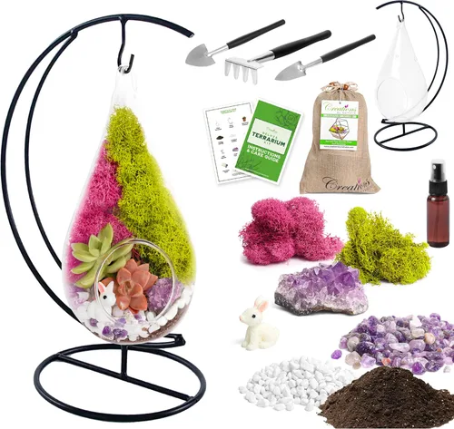 Vista 2 de Creations by Nathalie Kit de terrario casero de 18 cm en forma de lágrima con plantas vivas - Maceta colgante de vidrio con soporte para adultos