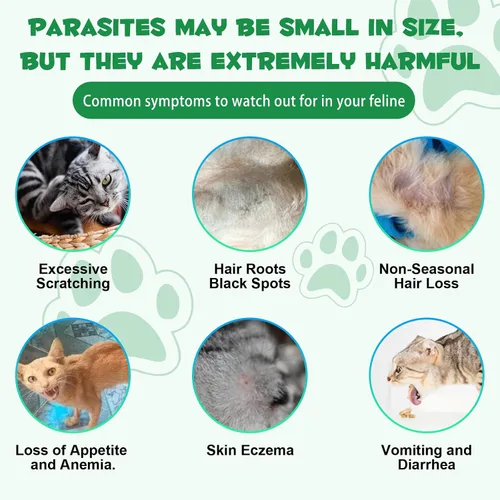 Vista 5 de Formulado específicamente para gatos, tratamiento natural de amplio espectro con probióticos, limpieza de hierbas, apoyo digestivo para todas las 1