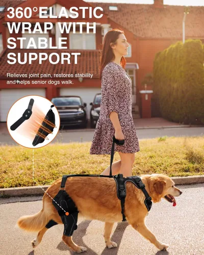 Vista 2 de Rodillera para Perro para ACL/CCL Desgarrado Pata Trasera, Soporte Ajustable con Suficiente Envoltura y Soporte y Luxación de Rótula, Soporte