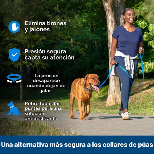 Vista 2 de PetSafe Soft Point - Collar de entrenamiento para perros sin tirones, negro
