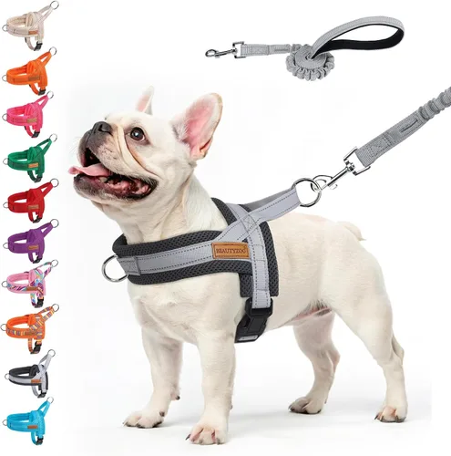 Vista 50 de BEAUTYZOO Arnés para Perros Pequeños, Juego de Arnés y Correa sin Tirones, Arnés de Pecho para Cachorros a Prueba de Escapes con Mango, Arnés Beige