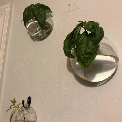 Vista 4 de Juego de 3 jarrones de pared de vidrio con forma de cuenco de burbujas, terrario para colgar en la pared, macetas de pared para interiores