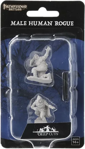 Vista 2 de Pathfinder Deep Cuts Unpainted Miniatures: Wave 1: Human Male Rogue