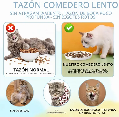 Vista 4 de Comedero lento de cerámica para gatos, plato de apertura poco profunda
