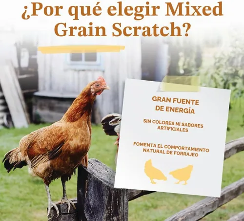 Vista 4 de Manna Pro Ultimate Chicken Scratch Feed, Alimento de Grano Nutritivo Rico en Nutrientes para Pollos y Aves de Corral, Mezcla Natural Multigrano