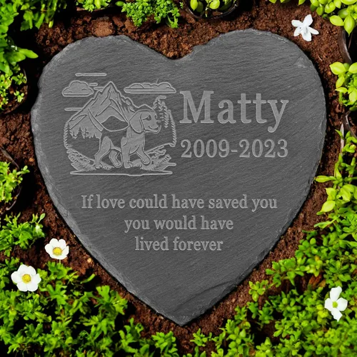 Vista 30 de Memorial personalizado de American Staffordshire Terrier, lápida de American Staffordshire Terrier, condolencias por pérdida de American