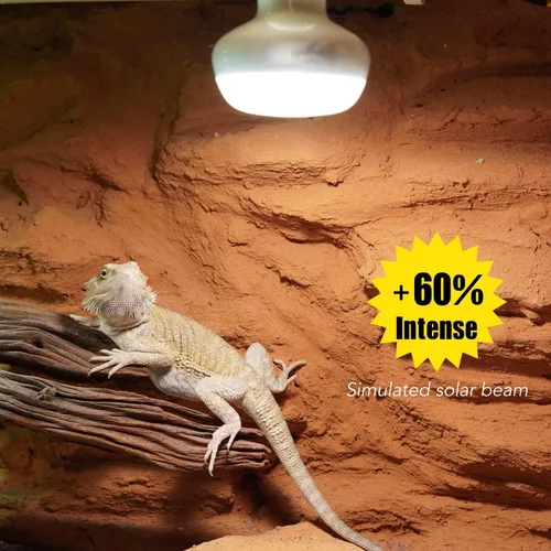 Vista 3 de Luz de calor infrarroja y lámpara intensa, bombillas de lámpara de calor de reptiles, incluye 2 emisores de calor rojos y 2 bombillas de peregrino