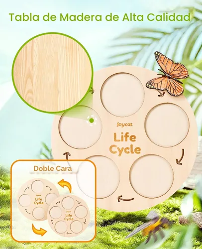 Vista 3 de JoyCat Juguetes Educativos de Aprendizaje del Ciclo de Vida, Kit de Oruga de Insecto a Mariposa, Mariquita, Abeja, Kit de Renacuajo a Rana, Juguetes