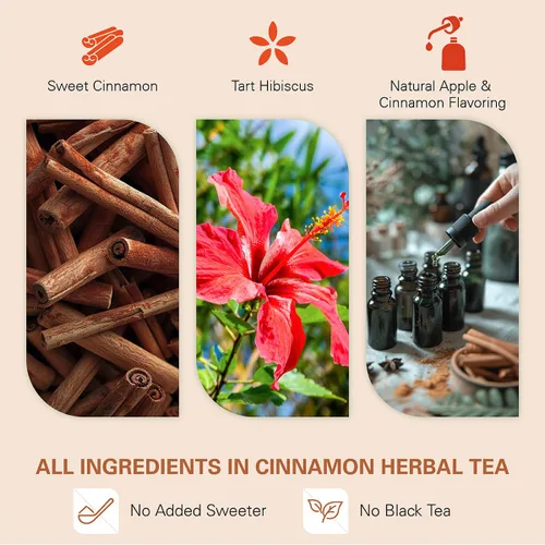 Vista 4 de WT WEETEE Bolsas de té de hierbas de manzana y canela, 60 unidades, mezcla perfecta de canela dulce, hibisco agrio, sabor natural, sin cafeína