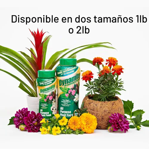 Vista 3 de NEGRO (ORO) KOW Dynamite 887763 - Alimento para plantas de 9 meses, 2 libras Proporciona 9 meses de alimentación continua, contiene