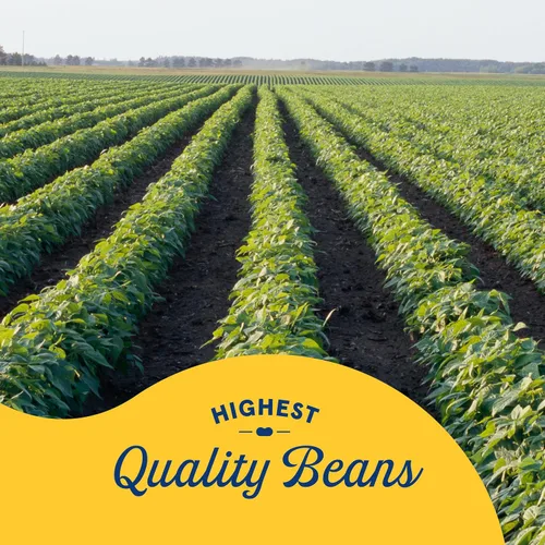 Vista 4 de BUSH'S BEST Garbanzos Garbanzos reducidos en sodio, fuente de proteína y fibra a base de plantas, bajo en grasa, sin gluten, 16 oz