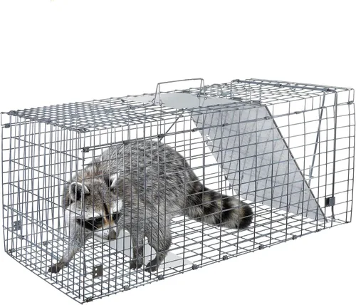 Vista 7 de ANT MARCH Trampa de jaula de animales vivos de 32 x 11.5 x 13 pulgadas, puerta de hierro de liberación humana para conejos, gatos callejeros