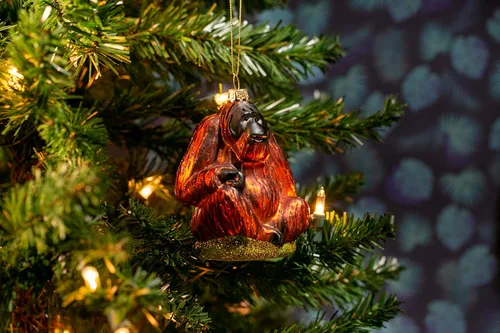 Vista 3 de Party Rock Ornamento de cristal de orangután Colección Animal