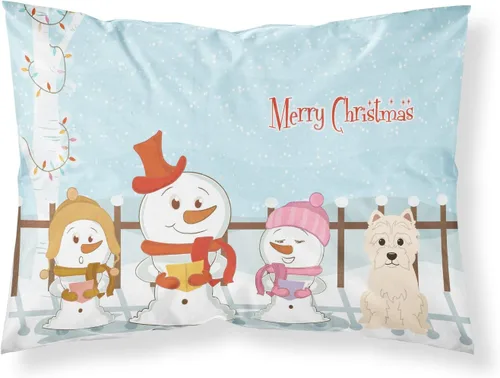 Vista 223 de Caroline's Treasures BB2515PILLOWCASE Between Friends Appenzeller Sennenhund - Funda de almohada de tela estándar, ligera, súper suave, fácil