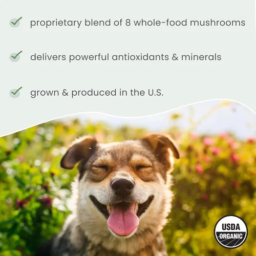 Vista 5 de Dr. Mercola Bark & Whiskers Mezcla orgánica de hongos fermentados – Suplemento para gatos y perros – Apoya la salud digestiva e inmunológica – Libre