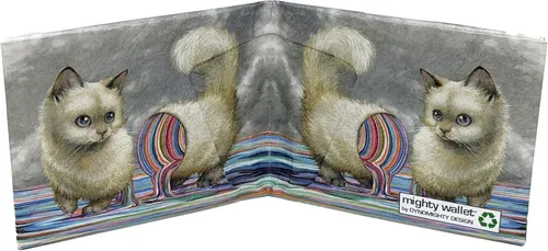 Vista 77 de Orgullo Dynomighty para hombre Mighty Wallet