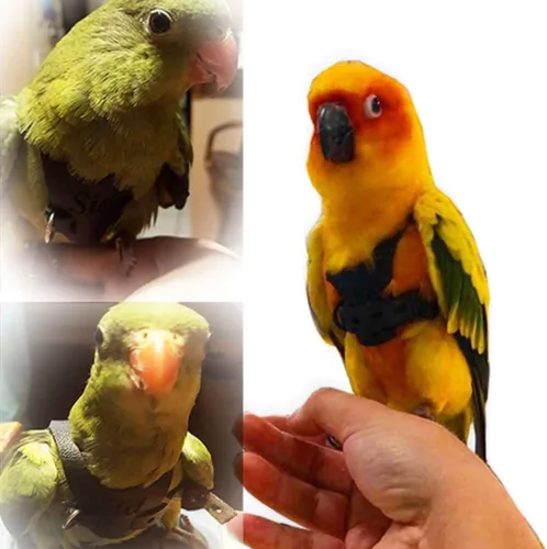 Vista 7 de Chaleco de arnés de vuelo de pájaro, traje de vuelo de loro con correa para periquitos, cacatúas, conures budgies, ropa de vuelo de pájaros
