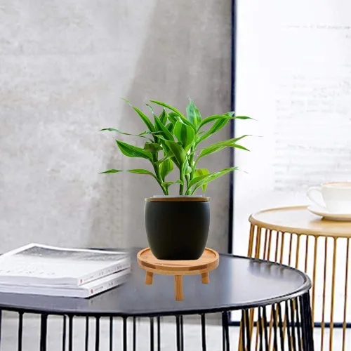 Vista 6 de ARTORA - Soporte para plantas estilo moderno de mediados de siglo, soporte de madera para plantas de interior, elevador de macetas para suculentas