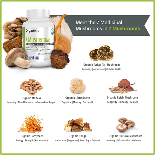 Vista 3 de Organixx USDA Organic Mushroom Supplement, 7 Fermented Mushrooms – Lions Mane, Shiitake, Cordyceps, Turkey Tail, Reishi – for Immune & Digestion