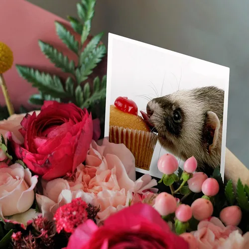 Vista 3 de Tarjeta de felicitación - Cupcake de hurón comiendo - Animales
